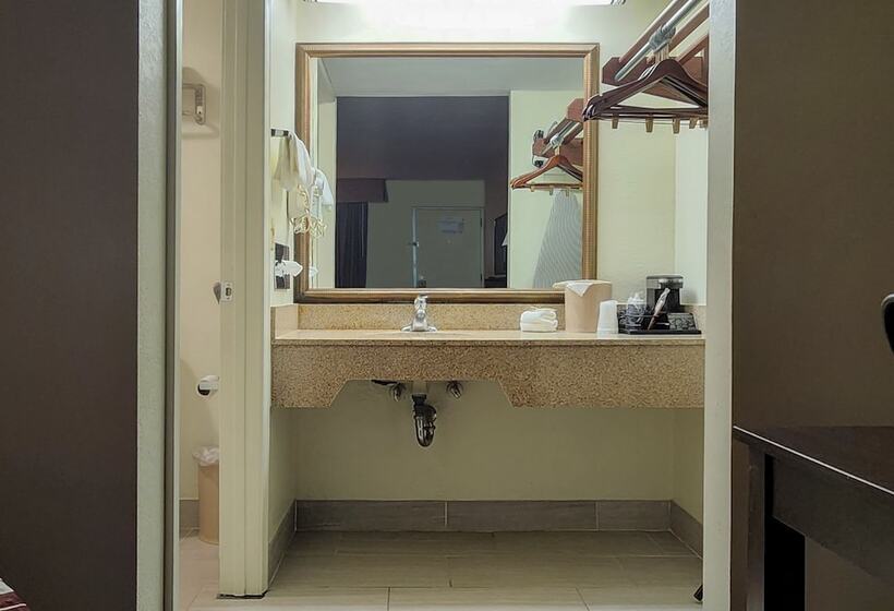 Quarto Deluxe, Red Roof Inn Tallahassee East