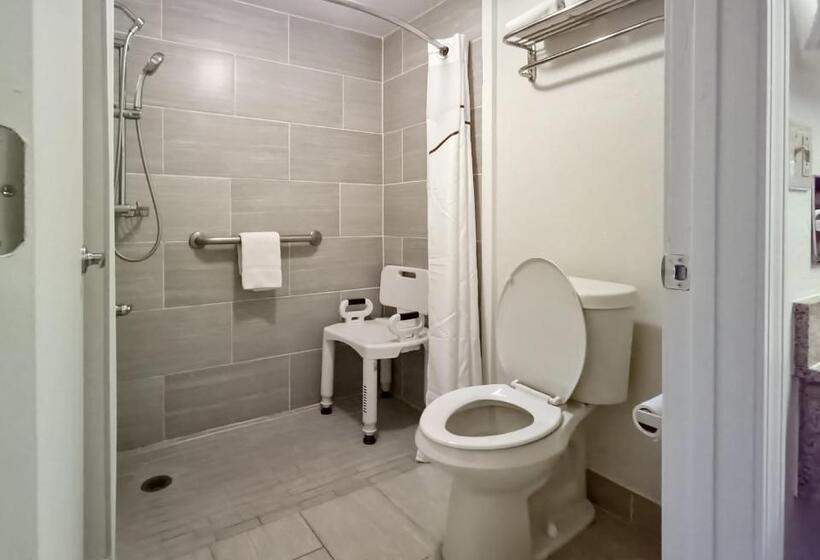 Номер Deluxe Адаптированный для Инвалидов, Red Roof Inn Tallahassee East