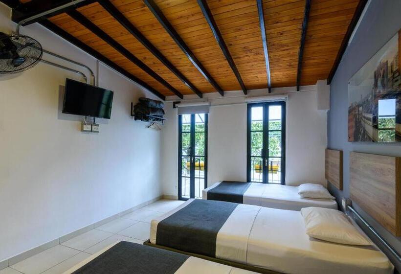 标准三人间, Med La Palma