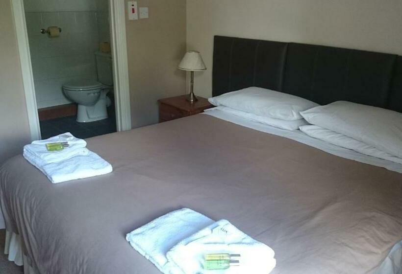 Delüks Oda, The New Swan