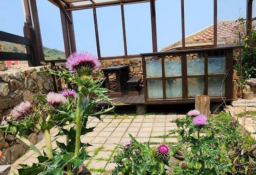 اتاق خانوادگی, Eternal Seaside House