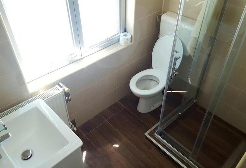 استودیوی استاندارد, Vila Sentić