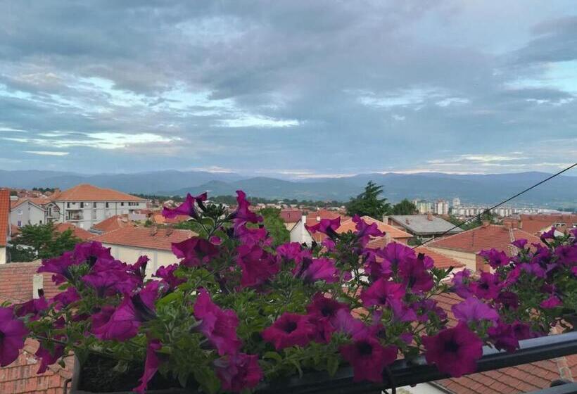 1 Bedroom Penthouse Apartment, Vila Sentić