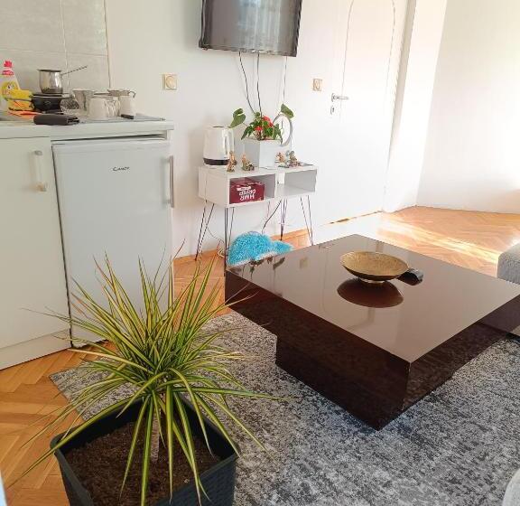 آپارتمان 2 خوابه, Vila Sentić