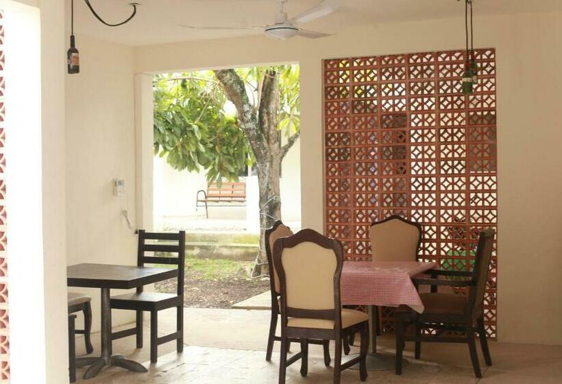 经济房, Bea Rooms And Studios