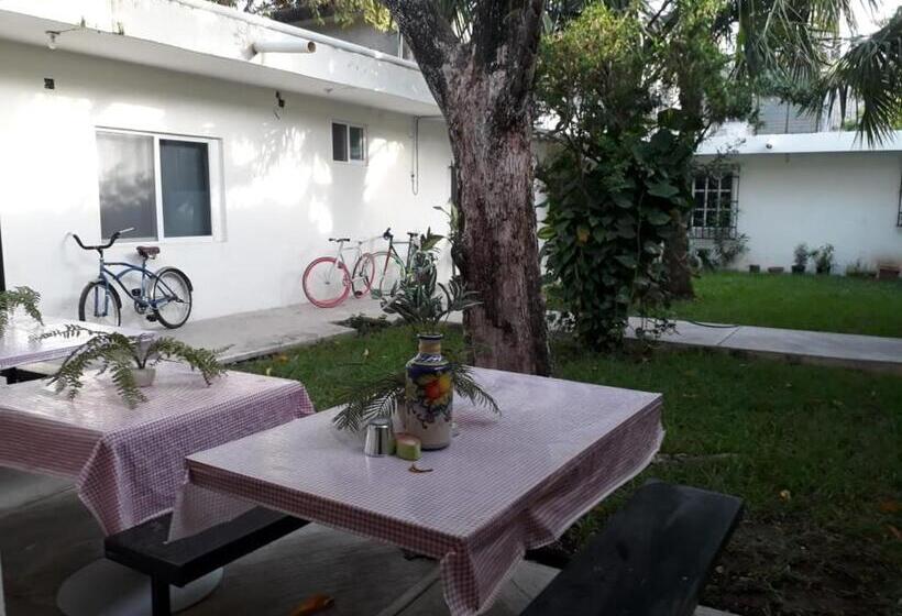 经济房, Bea Rooms And Studios