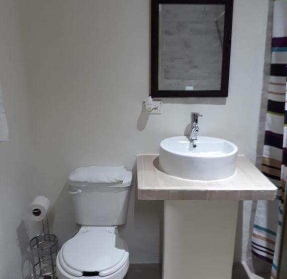اتاق اکونومی, Bea Rooms And Studios