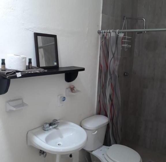 豪华房间, Bea Rooms And Studios