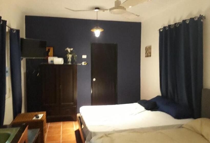 豪华工作室, Bea Rooms And Studios