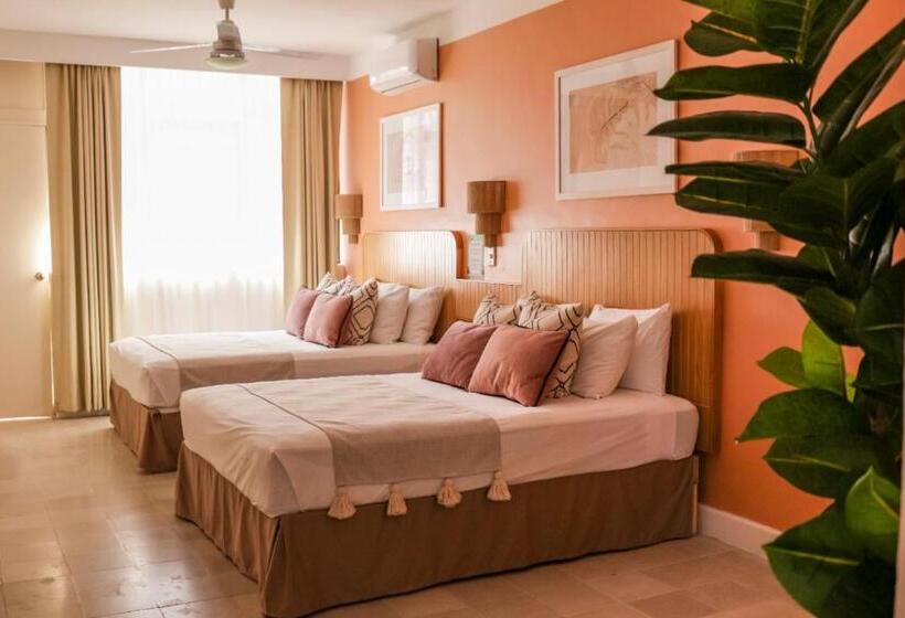 חדר סטודיו סטנדרד, Tropicus Boutique