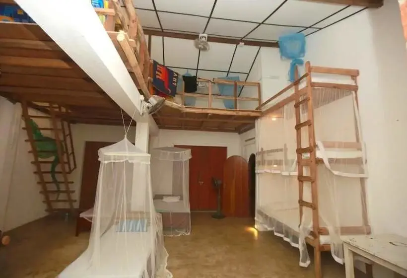 ルームシェアのワンベッド, Pearl Villa Rooms And Hostel
