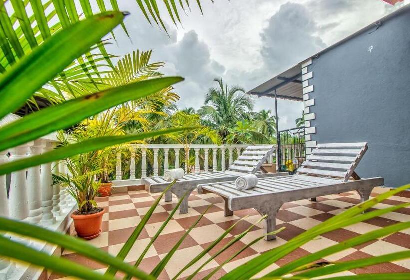 Estúdio standard com Terraço, Villa Verediana