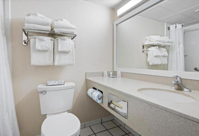 标准间, Carousel Resort Hotel And Condominiums