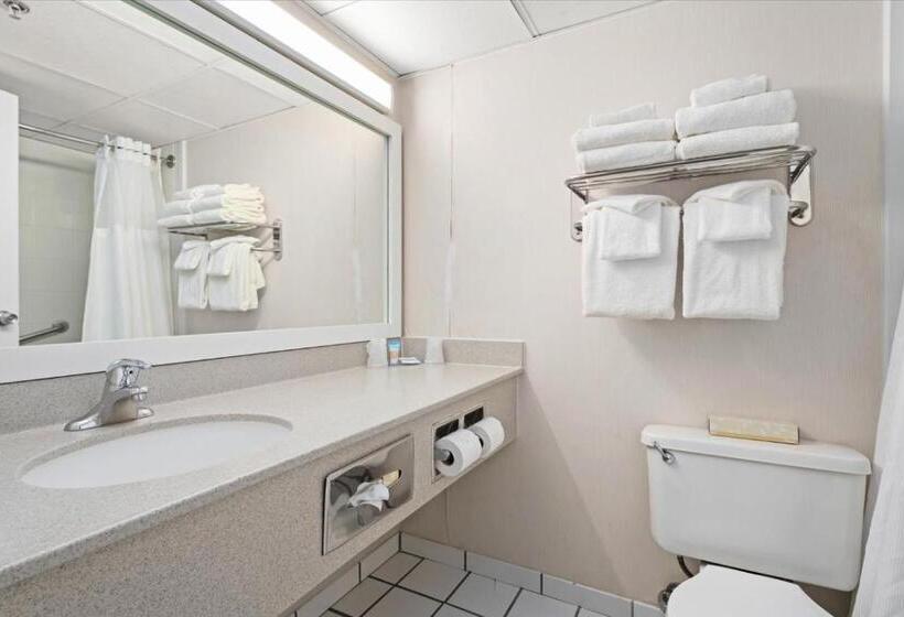 带观景的标准间, Carousel Resort Hotel And Condominiums