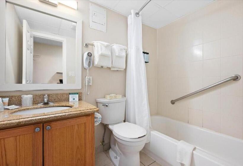 标准间内部标间, Carousel Resort Hotel And Condominiums