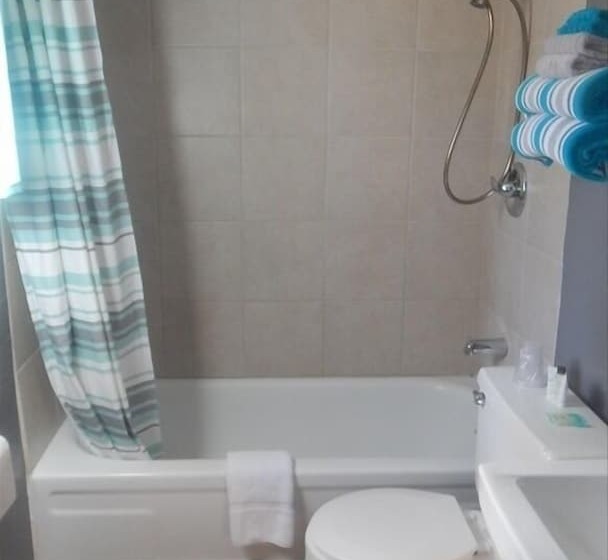 디럭스 룸, Cedar Village Motel