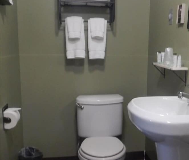 수피리어 룸, Cedar Village Motel