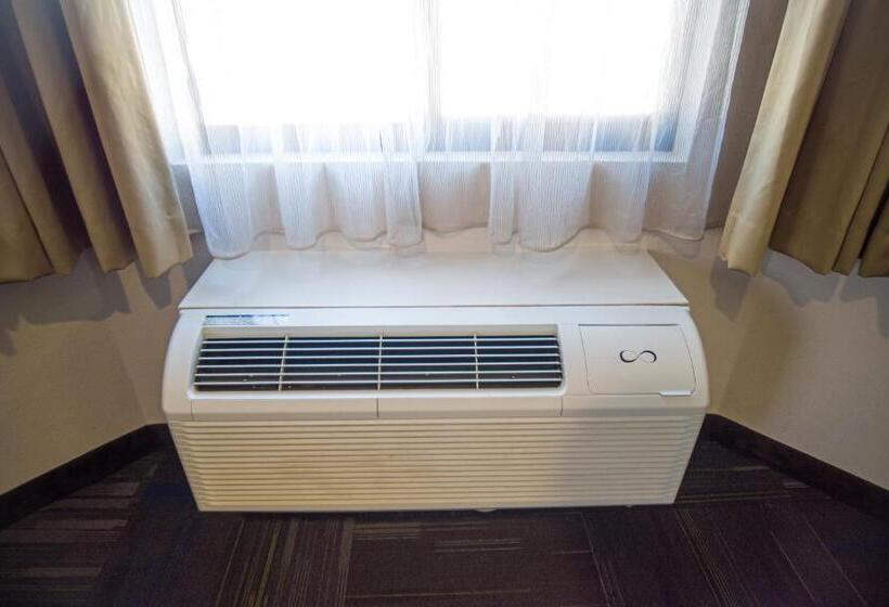 スタンダードルーム, Buena Vista Motor Inn