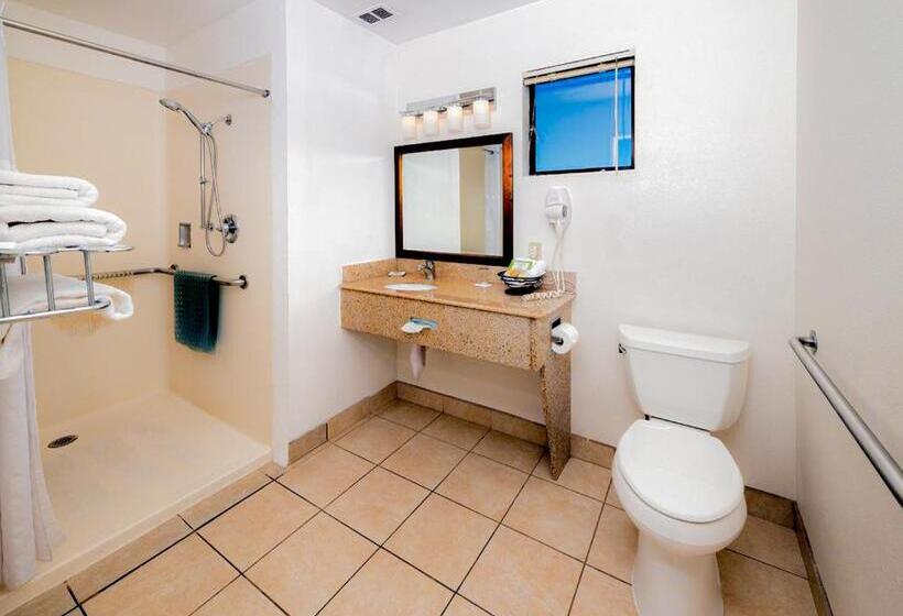 スタンダードルーム, Buena Vista Motor Inn