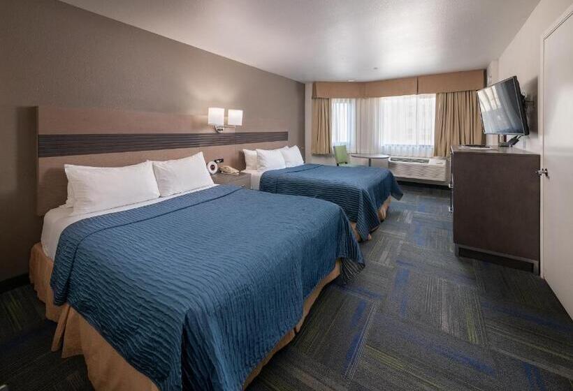 スタンダードルーム, Buena Vista Motor Inn