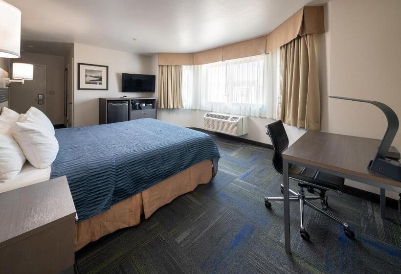 スタンダード４人部屋, Buena Vista Motor Inn