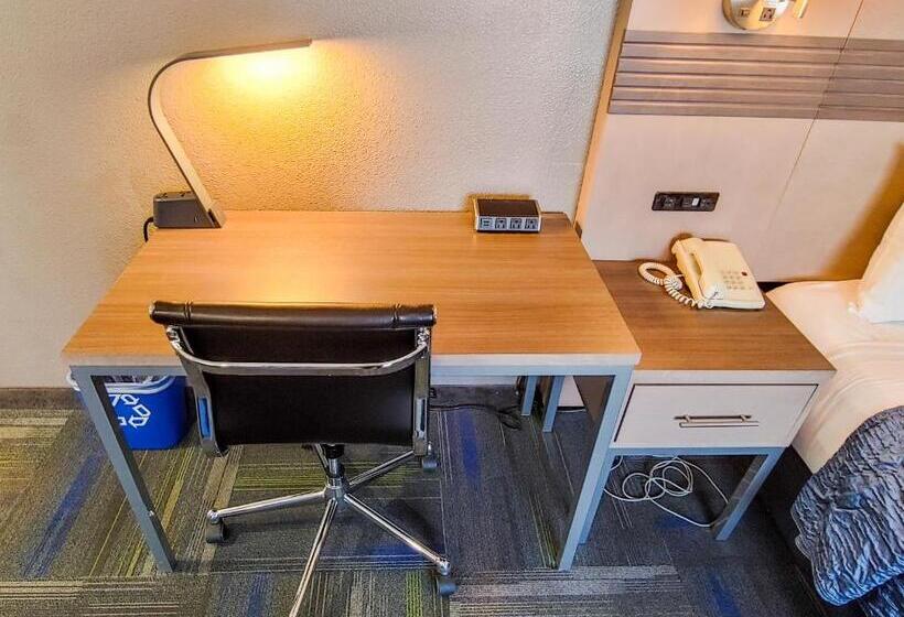 キングサイズベッドのスタンダードルーム, Buena Vista Motor Inn