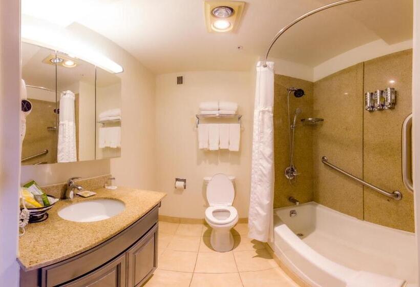 キングサイズベッドのデラックスルーム, Buena Vista Motor Inn