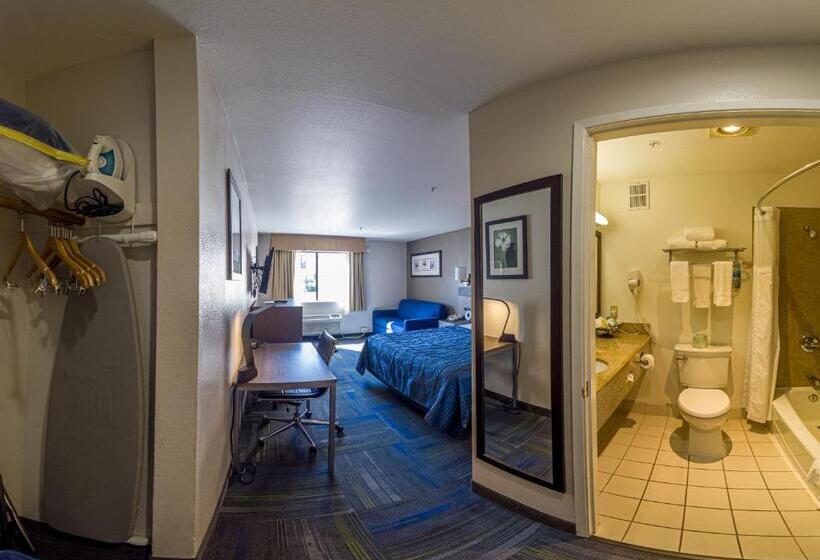 キングサイズベッドのデラックスルーム, Buena Vista Motor Inn