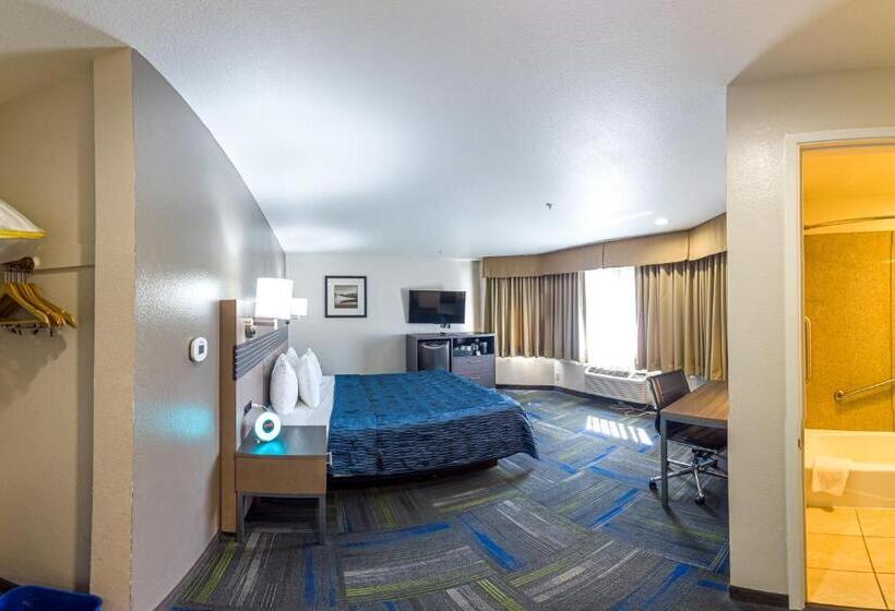 身障者適用キングサイズベッドルーム, Buena Vista Motor Inn