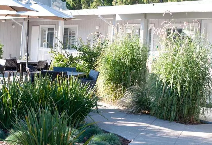 اتاق استاندارد با تخت بزرگ, Calistoga Spa Hot Springs