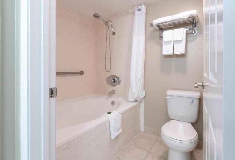 Люкс 2 Спальни, Capistrano Surfside Inn