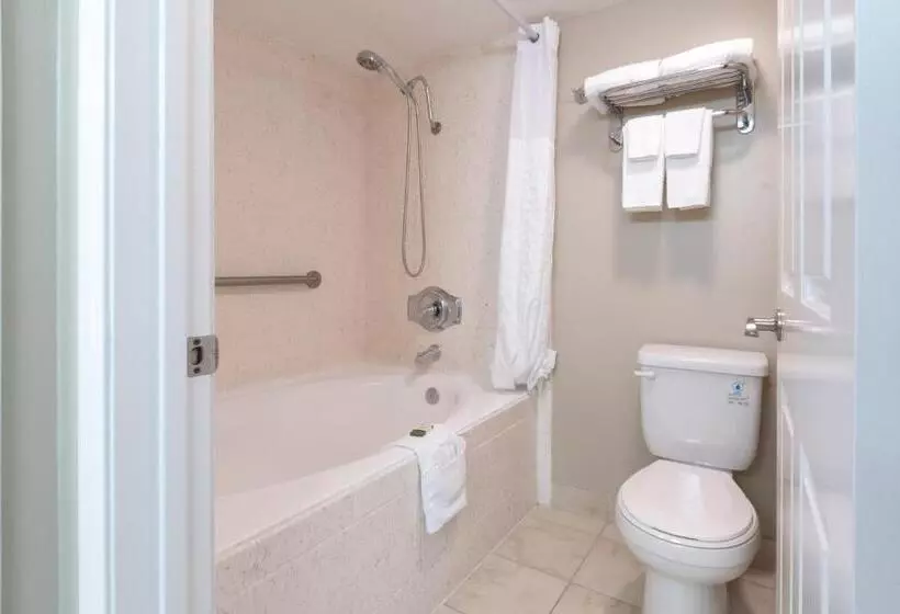 سوئیت 2 خوابه, Capistrano Surfside Inn
