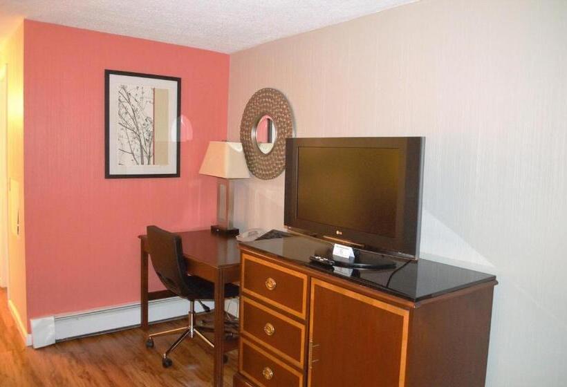 带大床的标准间, Carrier Motor Lodge