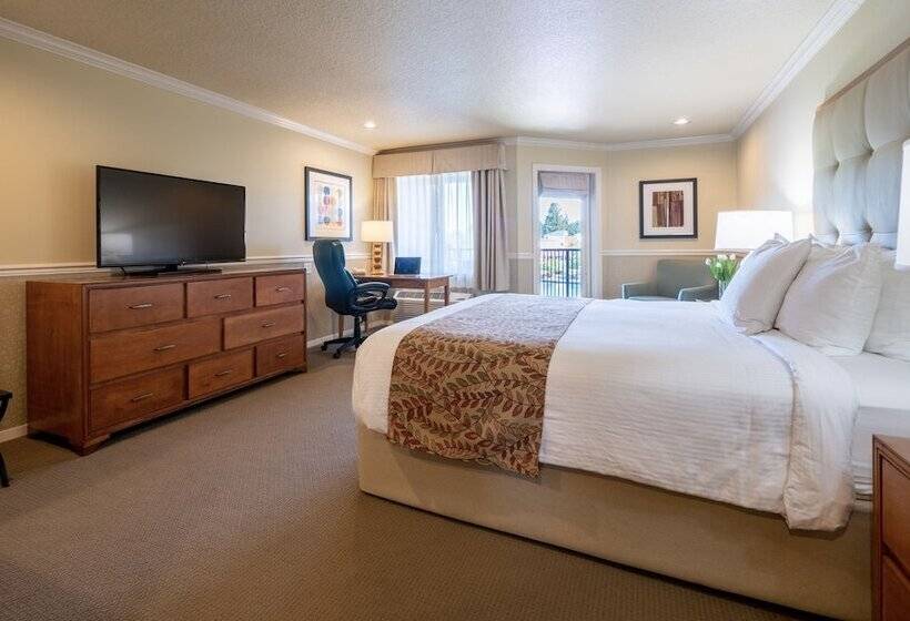 スーペリアールーム, Century