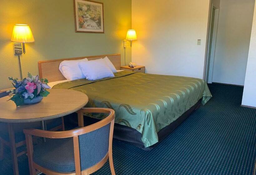 キングサイズベッドのスタンダードルーム, Regency Inn Lakeport