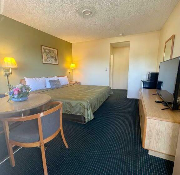 キングサイズベッドのスタンダードルーム, Regency Inn Lakeport