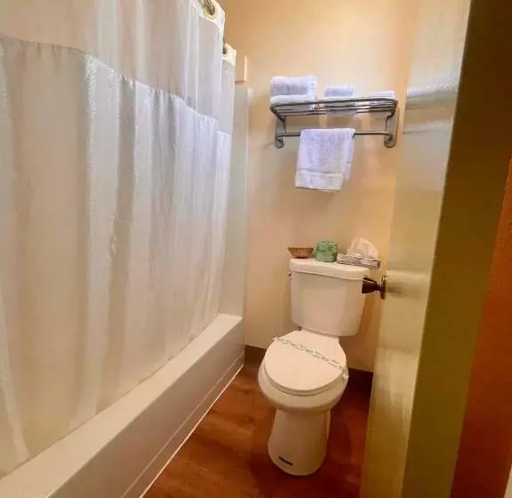 اتاق استاندارد با تخت بزرگ, Regency Inn Lakeport