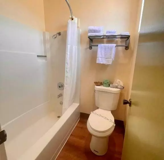اتاق استاندارد با تخت بزرگ, Regency Inn Lakeport