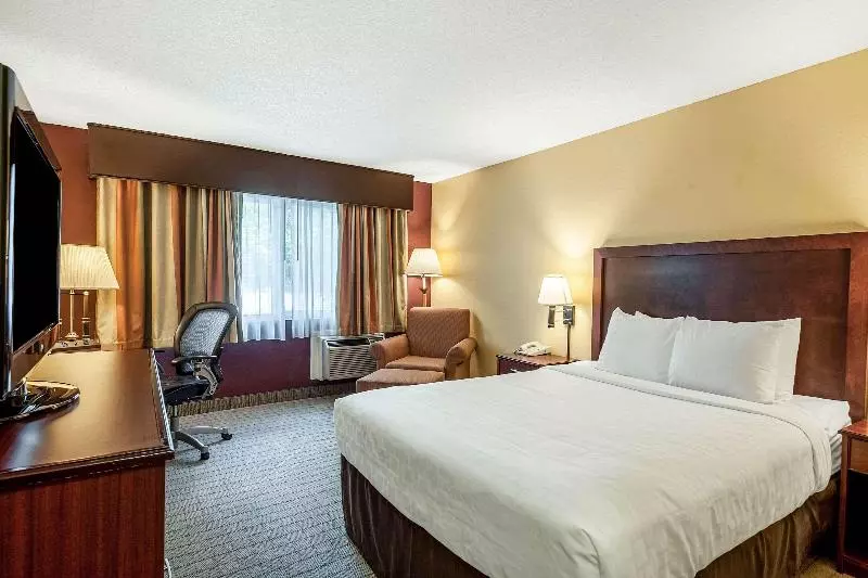 キングサイズベッドのスタンダードルーム, Surestay Hotel By Best Western Seatac Airport North