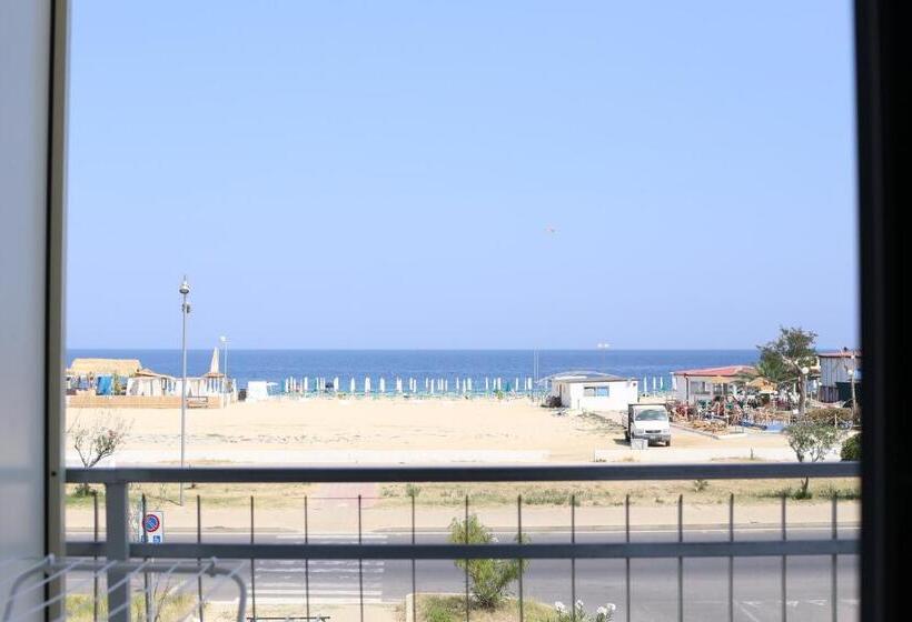 标准三人间, Naranja