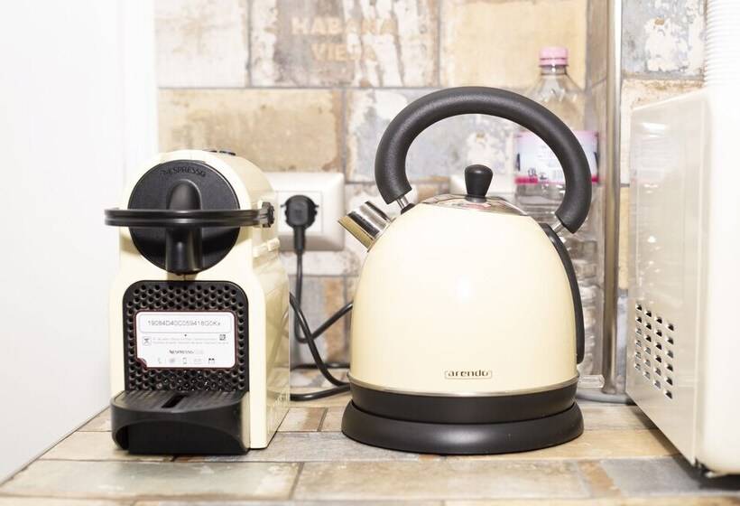 スタンダードルーム, Violetta