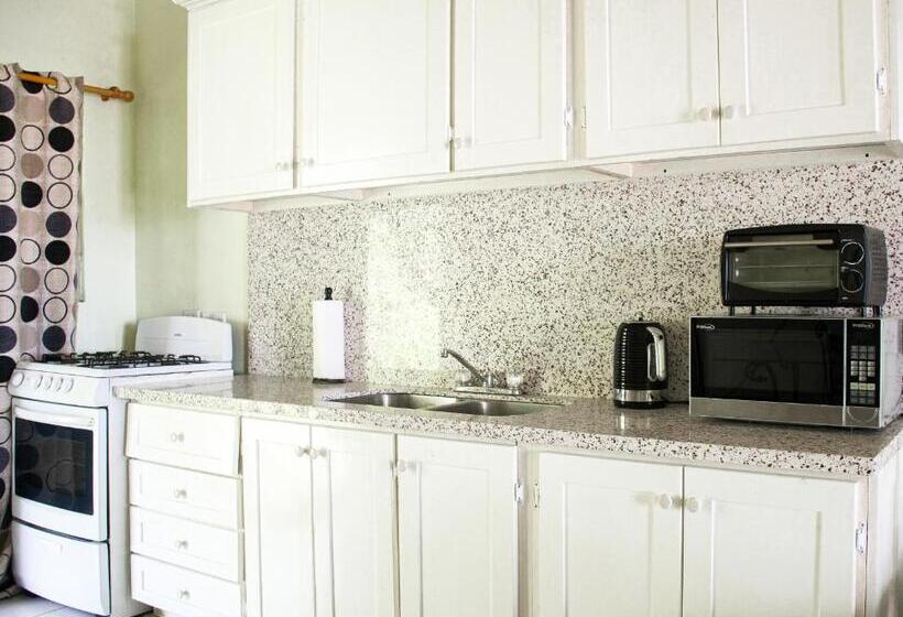 آپارتمان لوکس 1 خوابه, Silver View Apartments