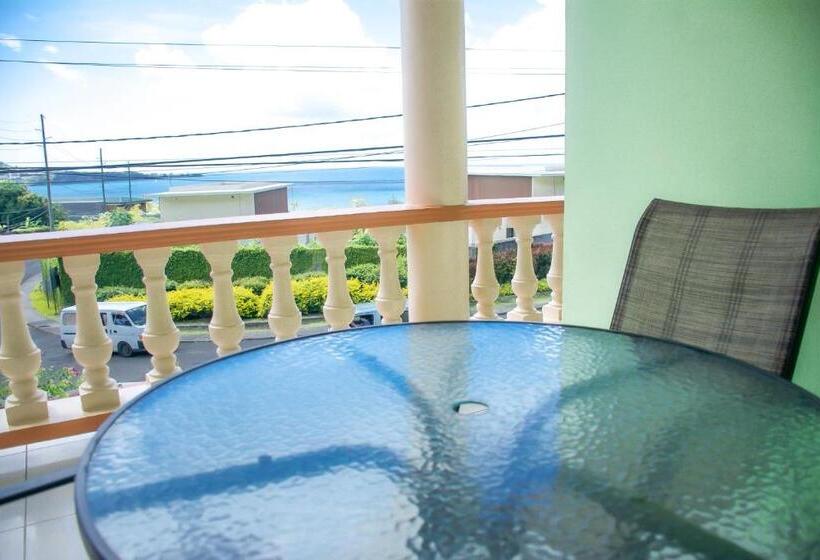 آپارتمان لوکس 1 خوابه, Silver View Apartments