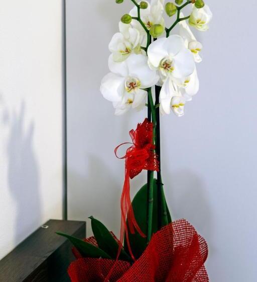 디럭스 트리플 룸, B&b I Lake It Bellagio