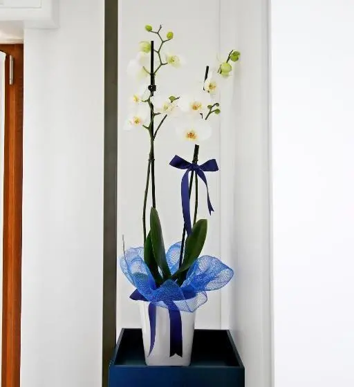 اتاق استاندارد با تراس, B&b I Lake It Bellagio