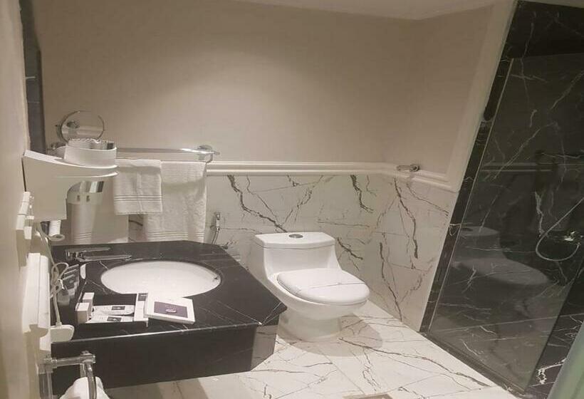 小型套房, Grand Silverton