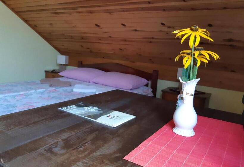 اتاق استاندارد با تخت بزرگ, Putnicka Kuca Kod Dragane