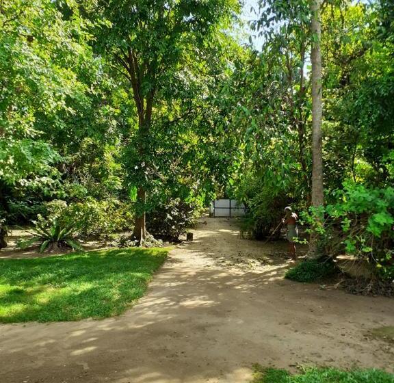 اتاق استاندارد, The Loft