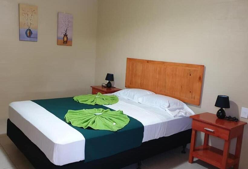 Habitació Estàndard, Transit Motel