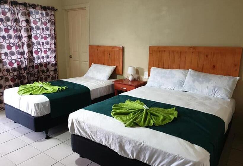 اتاق استاندارد سه نفره, Transit Motel
